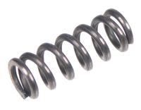 Sprężyna CEDRUS transporter TR300 130974