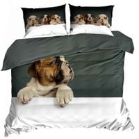 product-compare-58716080