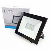 Halogen LED 30W lampa naświetlacz zewnętrzny zimny 6000K 2420LM reflektor