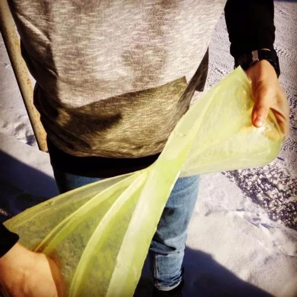 POLIURETAN do form elastyczny Kunstpur 80A 10 kg zdjęcie 5