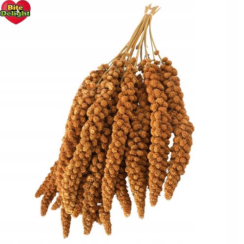 PROSO SENEGALSKIE BIAŁE + CZERWONE 0,5KG + 0,5KG CZYSTE DUŻE KŁOSY na Arena.pl