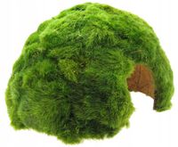 GAŁĘZATKA NA ŁUPINIE KOKOSA GROTA DO AKWARIUM