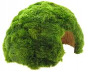 GAŁĘZATKA NA ŁUPINIE KOKOSA GROTA DO AKWARIUM