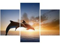 90X60CM OBRAZ DELFINY