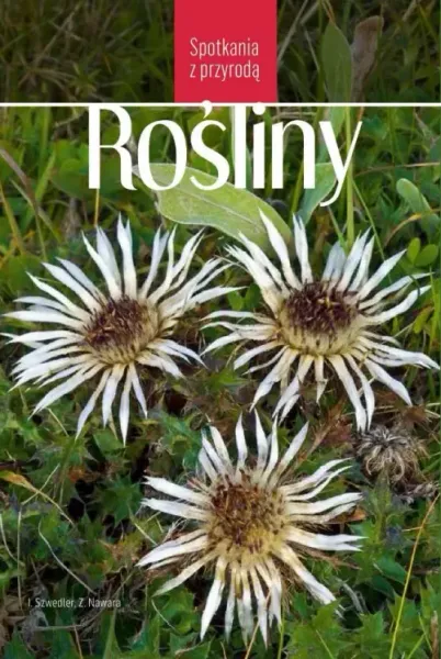 Spotkania z przyrodą. Rośliny zdjęcie 1