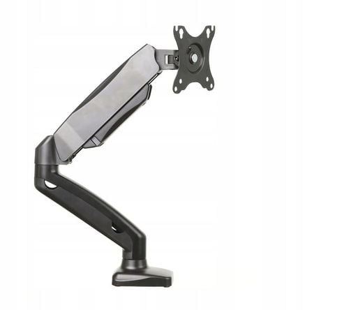 SILVER MONKEY do monitora UM-200 na Arena.pl