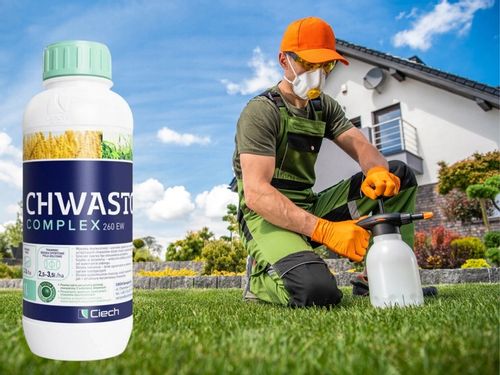 CHWASTOX COMPLEX 260EW środek chwastobójczy NA SZEROKI ZAKRES CHWASTÓW 1L na Arena.pl