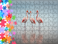 Puzzle tradycyjne Zwierzęta - Flamingi