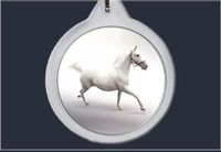 product-compare-54509533