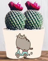 Doniczka do kwiatów/roślin - Pusheen - Kotek