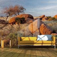 Fototapeta - Pejzaż afrykański, Namibia 250x193