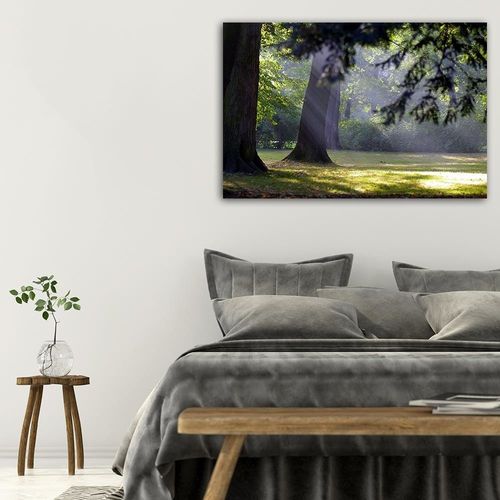 Deco Panel, Drzewa w parku 60x40 na Arena.pl