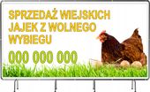 BANER REKLAMOWY 100x50cm plandeka dużo wzorów SPRZEDAŻ JAJA WIEJSKIE