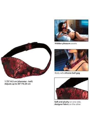 Scandal Hidden Ball Gag na Arena.pl