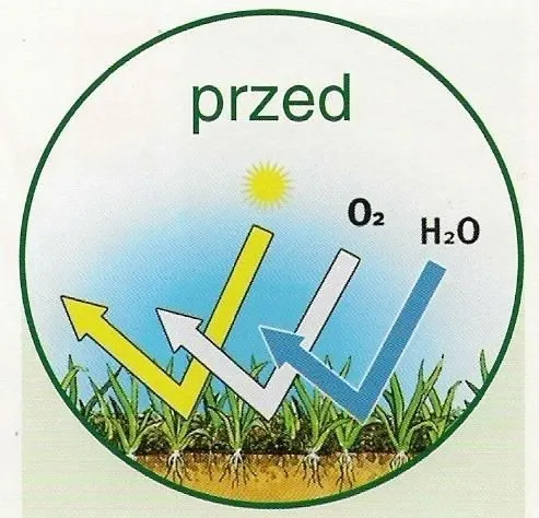 Wertykulator na kółkach do oczyszczania trawnika po zimie 3395 Gardena na Arena.pl