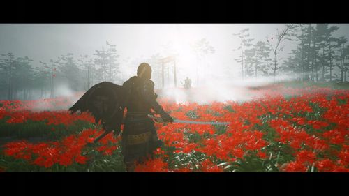 Gra PS5 Ghost of Tsushima Director's Cut na Arena.pl