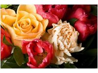 product-compare-58694198