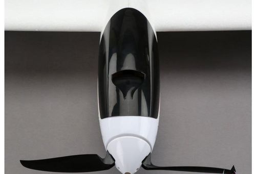 Radian BNF Basic na Arena.pl