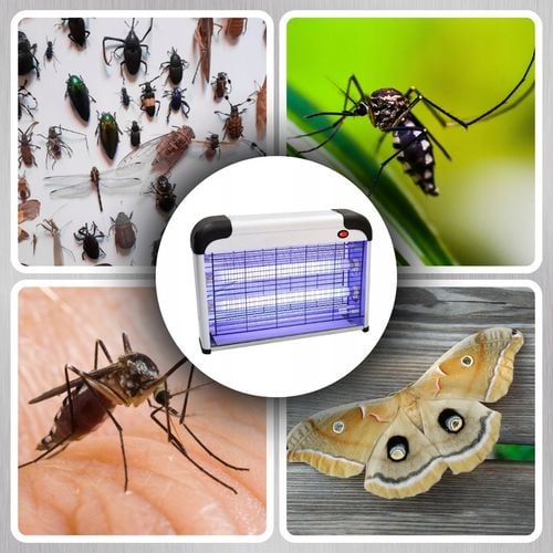 LAMPA OWADOBÓJCZA UV na komary muchy owady itp. DUŻA MOCNA BARDZO na Arena.pl