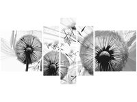 product-compare-58698917