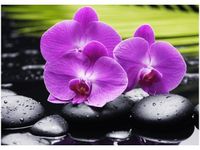 50X70CM KAMIENIE STORCZYKI OBRAZ POKOJU DREWNINE