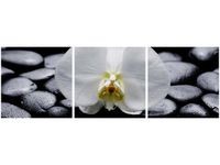 product-compare-58647476