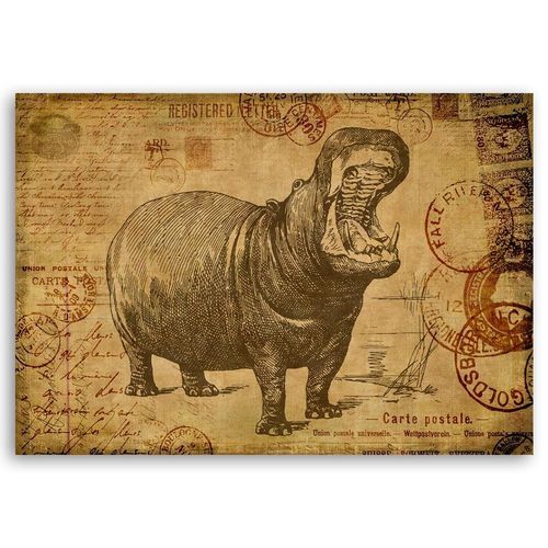 Obraz na płótnie – Canvas, Hipopotam 70x50 na Arena.pl