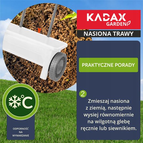 TRAWA OZDOBNA TRAWNIK SAMOZAGĘSZCZAJĄCA 10 KG na Arena.pl