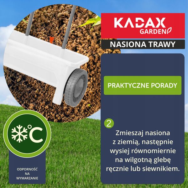 TRAWA OZDOBNA TRAWNIK SAMOZAGĘSZCZAJĄCA 10 KG zdjęcie 5
