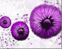 40CM 50CM OBRAZEK ŚCIENNY FIOLETOWE DMUCHAWCE DRUK PŁÓTNO OBRAZ