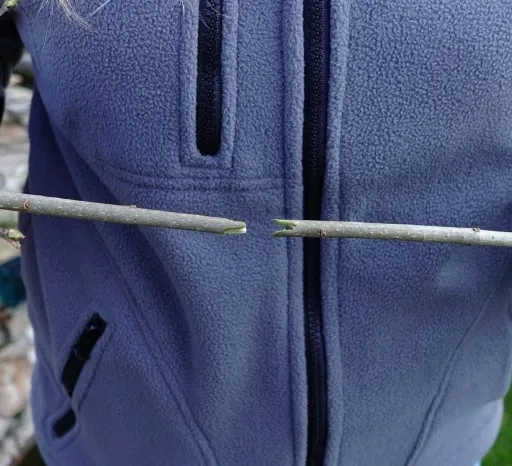 ZESTAW SEKATOR DO SZCZEPIEŃ OKULIZACJI DRZEW krzewów + taśma 11 szt +MAŚĆ zdjęcie 13