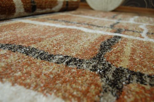 Dywan SHADOW 9359 rust / cream 80x150 cm na Arena.pl