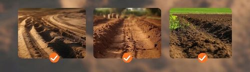 GLEBOGRYZARKA Spalinowa KULTYWATOR do gleby ziemi 30cm z REGULACJĄ na Arena.pl