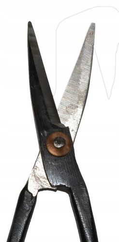 NOŻYCE DO BONSAI na Arena.pl