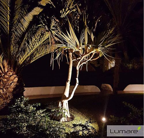 Reflektor Ogrodowy Led 5W Ip65 na Arena.pl