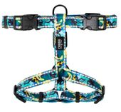 Szelki dla psa bezpieczne dla kręgosłupa Chaba Guard Story XL 30mm Carnival