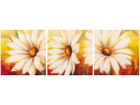 product-compare-58672621