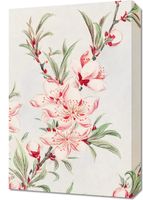 Obraz 40x60cm Peach Tree, Morikaga Japoński Vintage