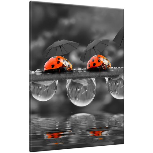 Foto-Obraz 50X70 Spacerek na Arena.pl