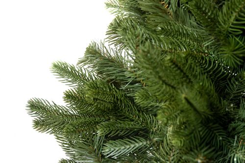 Choinka Jodła Szlachetna 180cm na Arena.pl