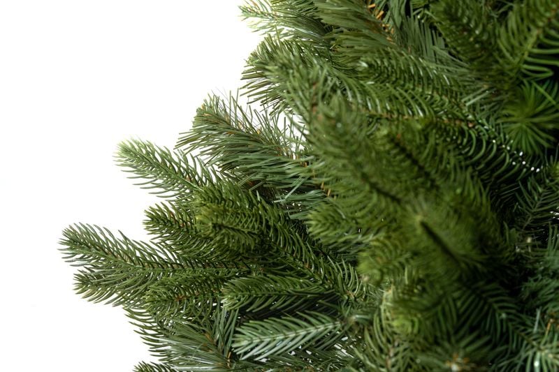 Choinka Jodła Szlachetna 220m zdjęcie 11