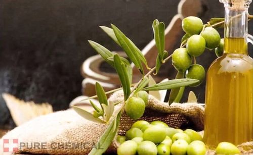 OLEJEK NEEM DO ROŚLIN NIERAFINOWANY NATURAL 500ml na Arena.pl
