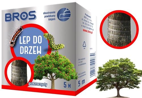 bros - lep do drzew 5mb na Arena.pl