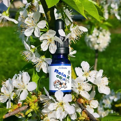 Olej Do michy RelaX CBD 6% dla psa i kota 10ml THC-0% (bezpieczny) na Arena.pl