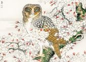 Plakat 18x13cm Short-Eared Owl, Kashu Japoński Vintage do Salonu
