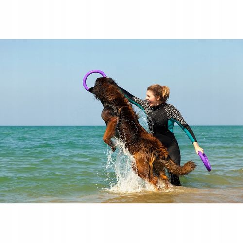 Szarpak dla psa PULLER Standard 28 cm - Zabawka 2 ringi dla dużych ras psów na Arena.pl