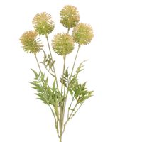 Gałązka czosnek x5 żółta