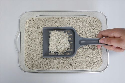 Żwirek Tofu dla Kotów NATURALNY BuBu Pets 2,5kg zbrylający biodegradowalny na Arena.pl