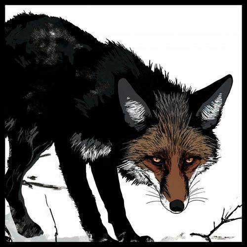 Plakat 70x70cm Nieufny Lis na Arena.pl