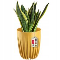 DONICZKA OSŁONKA + WKŁADKA MUSZTARDOWA 14,5x17CM